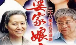 娘家婆家电视剧,情感纠葛中的家庭风云