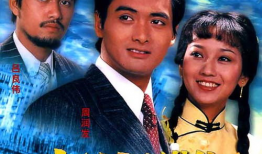 1980年电视剧,岁月如歌，光影留痕