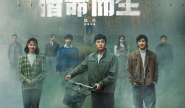 电视剧播出,跨越时空的传奇之旅