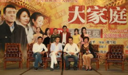 大家庭电视剧,温情岁月里的亲情纠葛