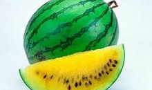 吃瓜网爆料无码吃瓜第一页,吃瓜网独家爆料，带你领略网络热点背后的真相