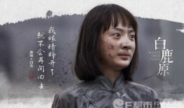 白鹿原电视剧白灵结局,白灵悲壮落幕，革命信仰永存