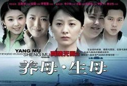 电视剧养母,跨越血缘的亲情守护