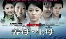 电视剧养母,跨越血缘的亲情守护