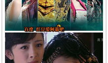 和麻雀类似的电视剧,揭秘与麻雀相似的电视剧魅力