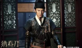锦衣卫电视剧,权谋与忠诚的较量