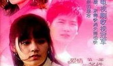 当爱已成往事电视剧,一段跨越时光的深情纠葛