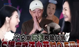 国产精品a 剧情演绎,情感纠葛与时代变迁的交织