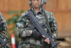 特种兵之火凤凰电视剧,特种兵的荣耀与蜕变