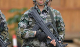 特种兵之火凤凰电视剧,特种兵的荣耀与蜕变