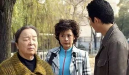 双面胶电视剧,情感纠葛与命运抉择