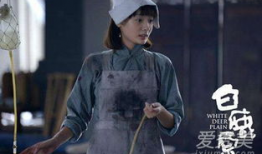 白鹿原电视剧白灵结局,白灵悲壮落幕，革命信仰永存