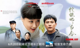 绽放电视剧,青春追梦，梦想照进现实