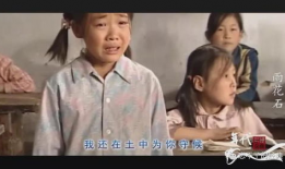 红红的雨花石 电视剧,揭秘革命岁月里的青春传奇